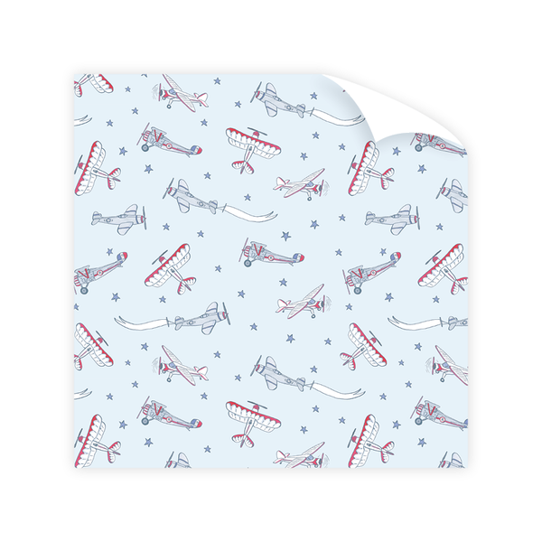 Fly In Wrapping Paper Sheet