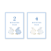 Porcelain Bunnies Blue Milestone Cards