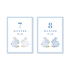 Porcelain Bunnies Blue Milestone Cards