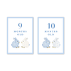 Porcelain Bunnies Blue Milestone Cards