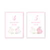 Porcelain Bunnies Pink Milestone Cards