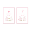 Porcelain Bunnies Pink Milestone Cards