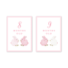 Porcelain Bunnies Pink Milestone Cards