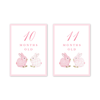 Porcelain Bunnies Pink Milestone Cards
