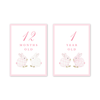 Porcelain Bunnies Pink Milestone Cards